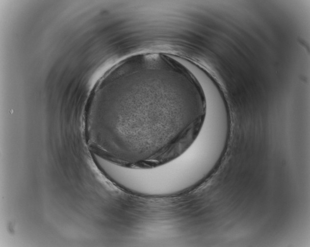 X0000099470944200805161107
