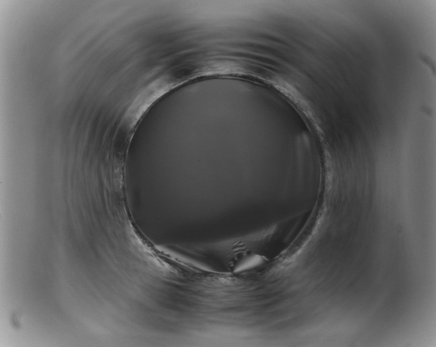 X0000099470945200805161107