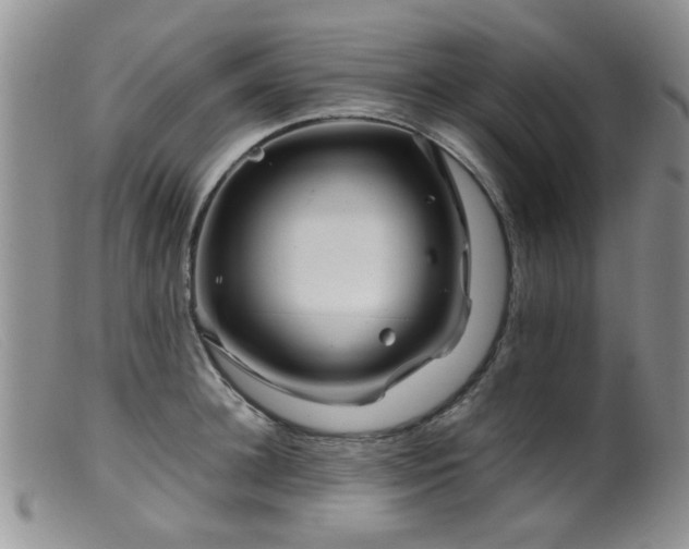 X0000099470948200805161107