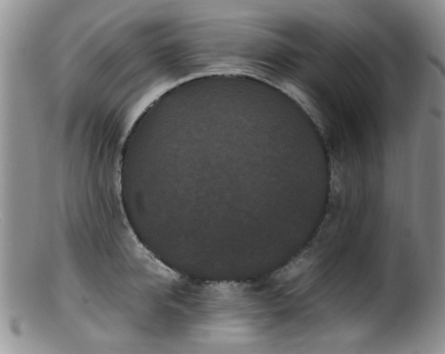 X0000099470950200805161107