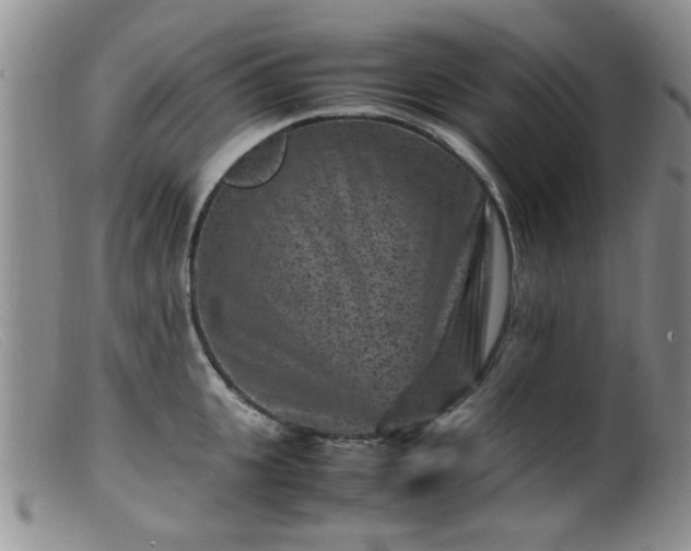 X0000099470951200805161107