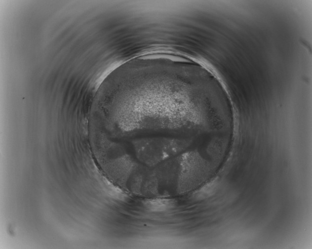 X0000099470953200805161107