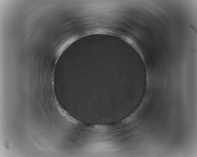 X0000099470954200805161107