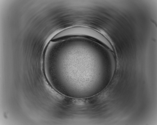 X0000099470955200805161107
