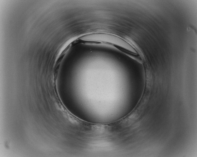 X0000099470956200805161108