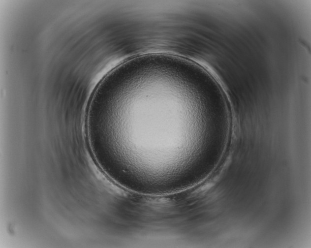 X0000099470957200805161108
