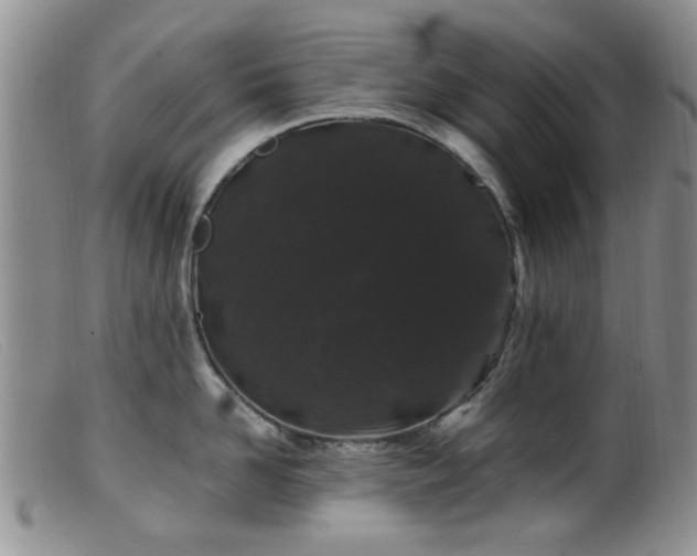 X0000099470958200805161108