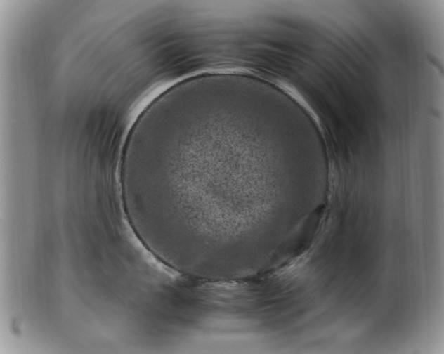 X0000099470959200805161108