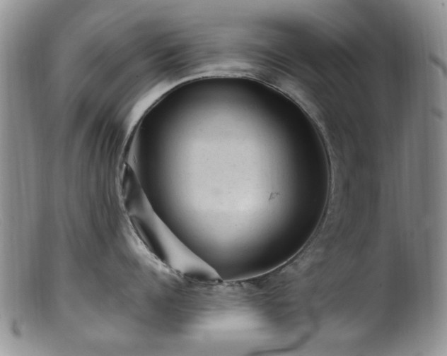 X0000099470960200805161108