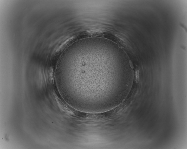 X0000099470963200805161107