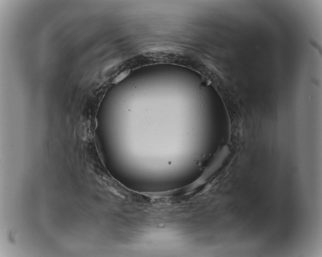 X0000099470965200805161107