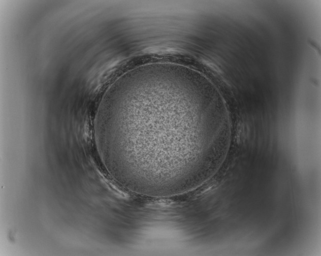 X0000099470966200805161107