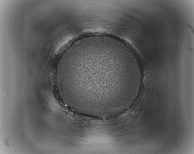 X0000099470967200805161107