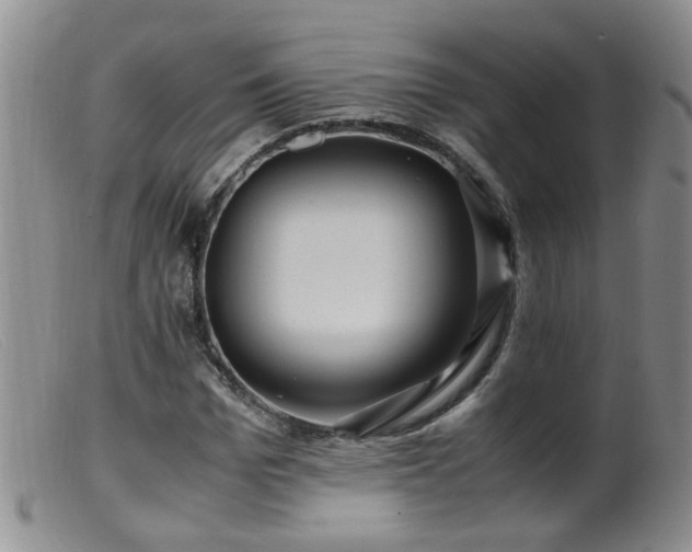 X0000099470969200805161107