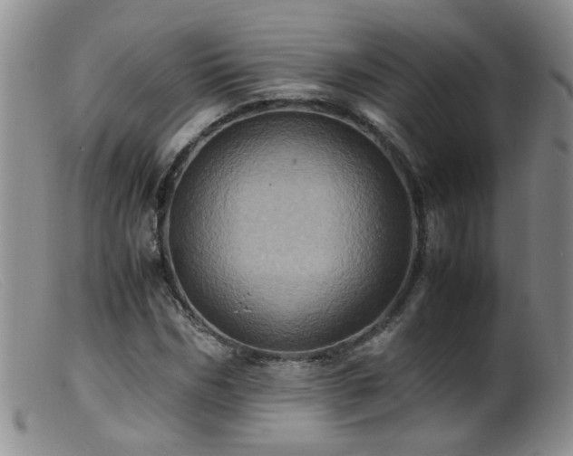 X0000099470970200805161107