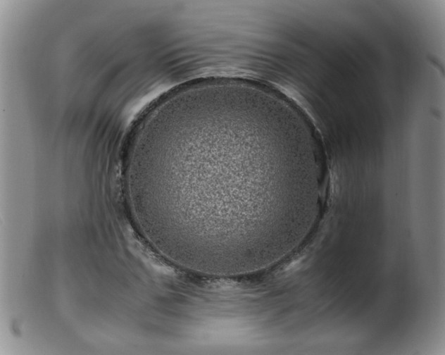 X0000099470971200805161107