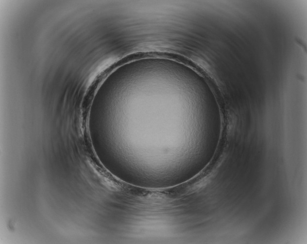 X0000099470974200805161107