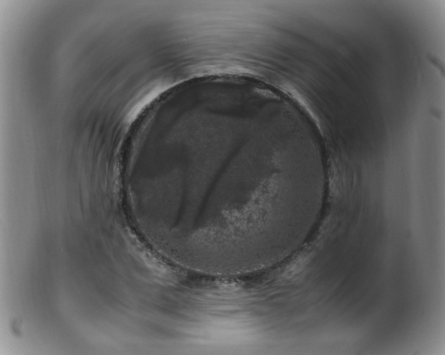 X0000099470975200805161107
