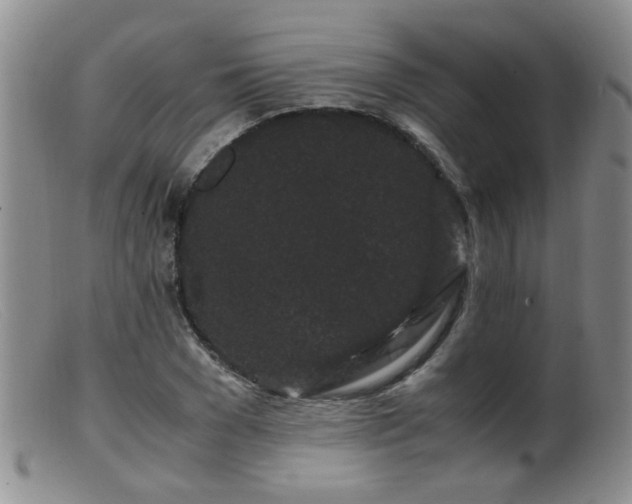 X0000099470977200805161107