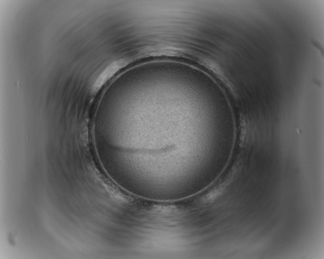 X0000099470978200805161107