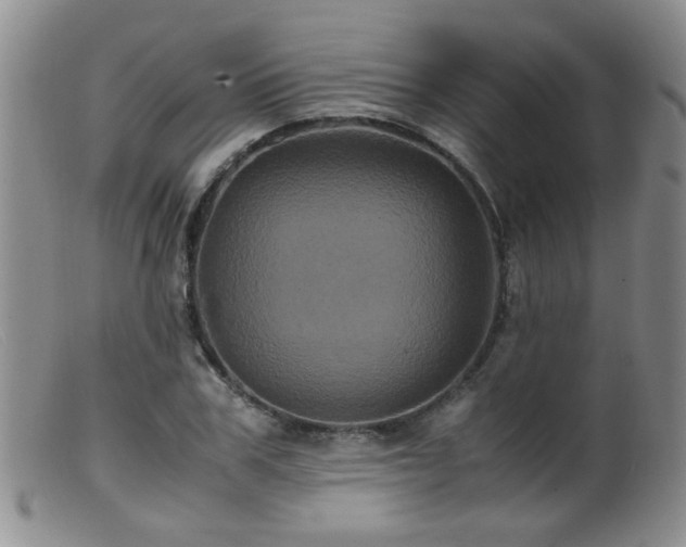 X0000099470979200805161107
