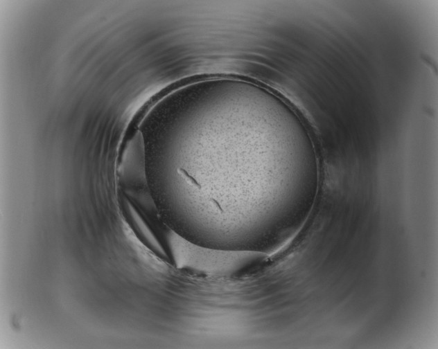 X0000099470980200805161107