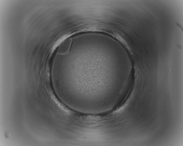 X0000099470981200805161107