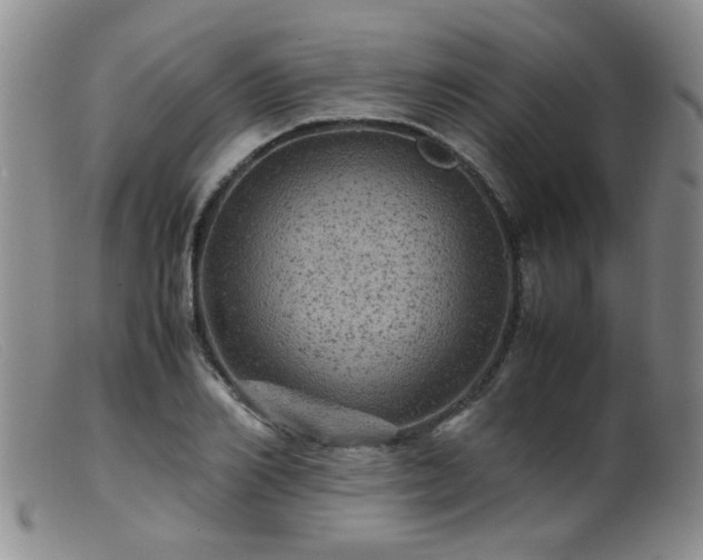 X0000099470982200805161107