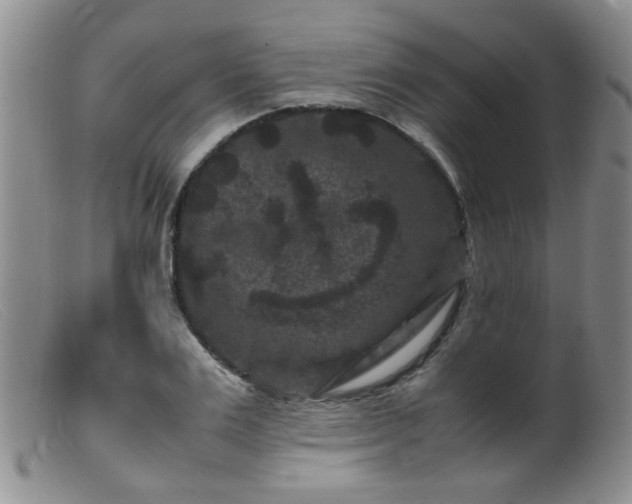 X0000099470983200805161107