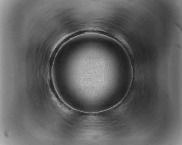 X0000099470984200805161107