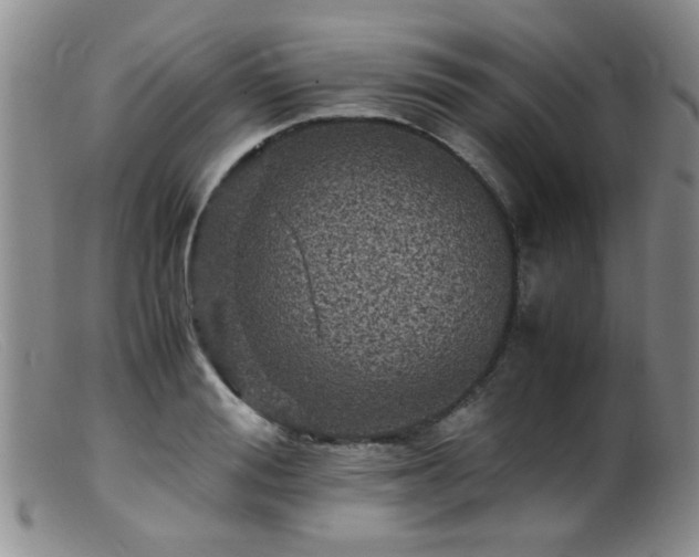 X0000099470988200805161106