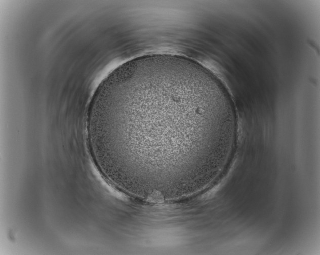 X0000099470989200805161106
