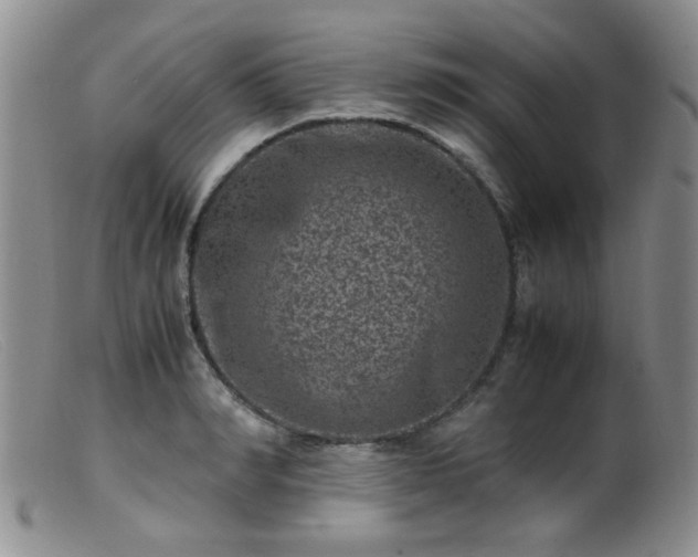 X0000099470990200805161106