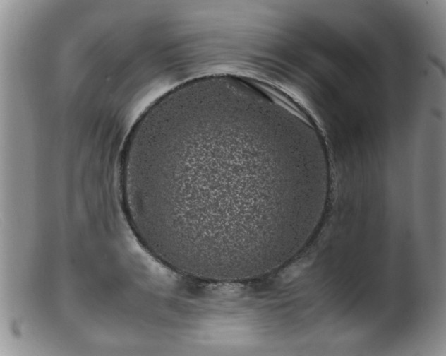 X0000099470991200805161106