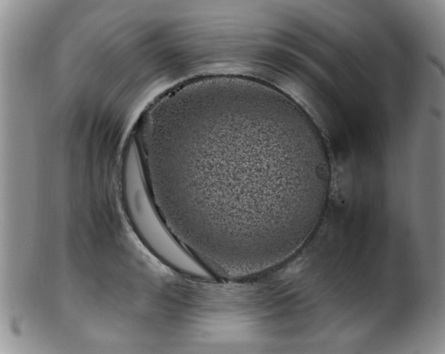 X0000099470992200805161106