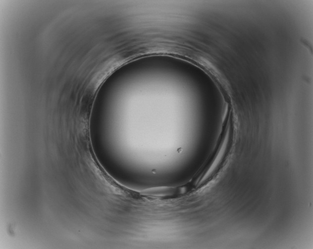 X0000099470993200805161106