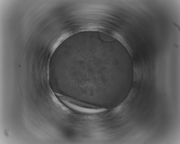 X0000099470994200805161106