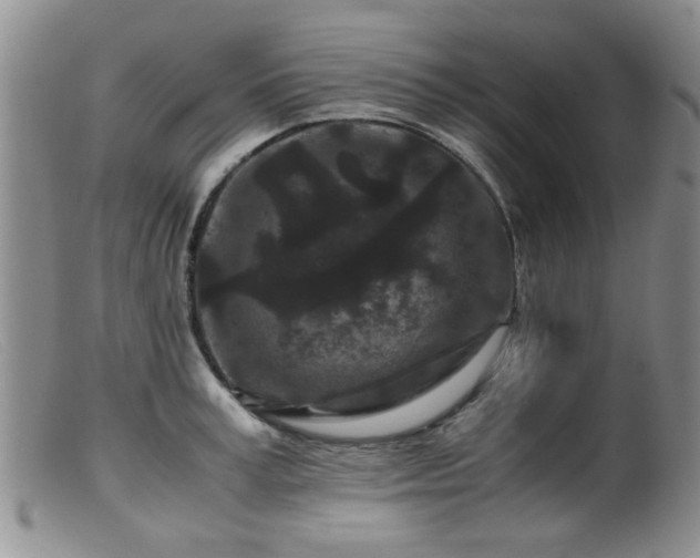 X0000099470995200805161106