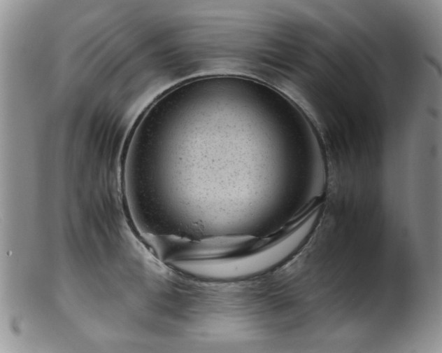 X0000099470996200805161106