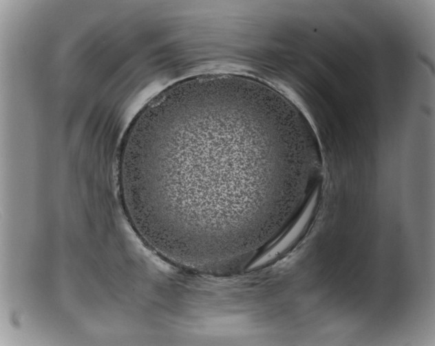 X0000099470997200805161106