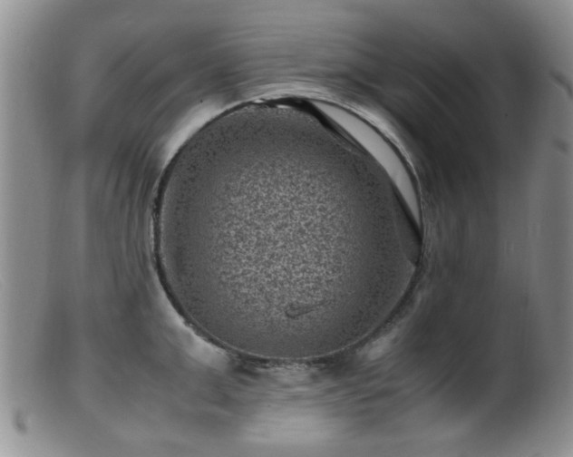 X0000099470999200805161106
