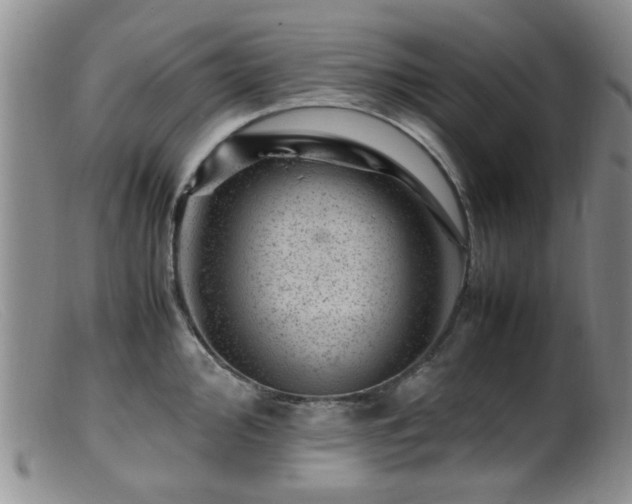X0000099471000200805161106