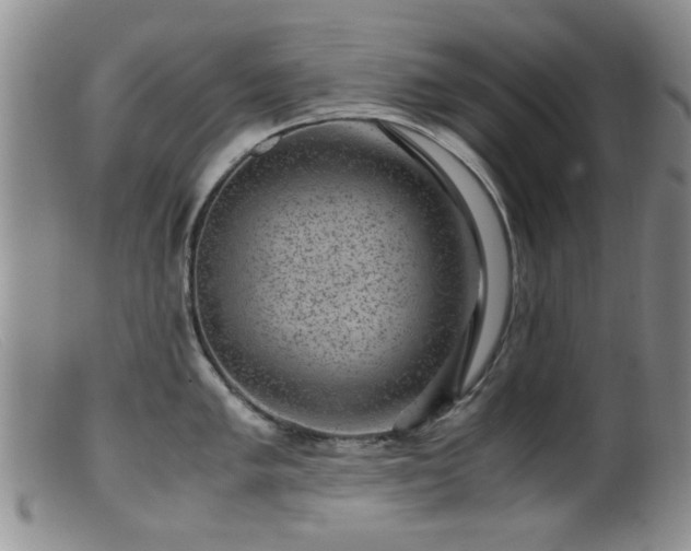 X0000099471005200805161106