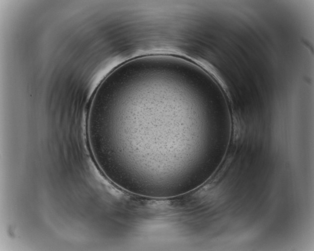 X0000099471006200805161106
