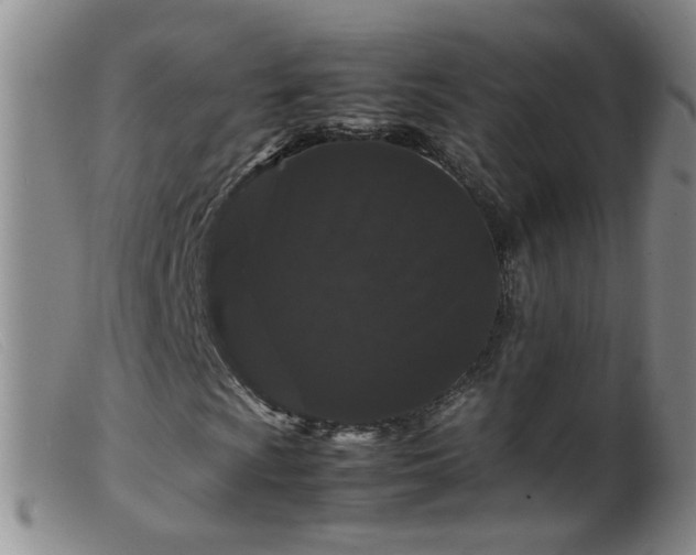 X0000099471009200805161106