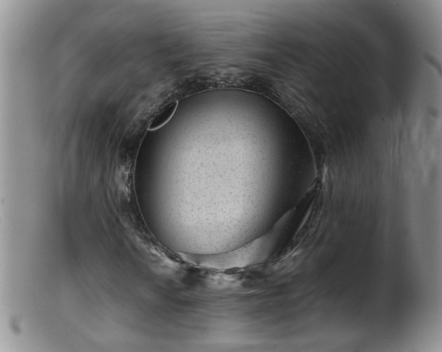 X0000099471010200805161106