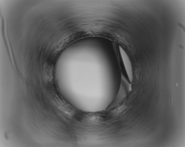 X0000099471012200805161106