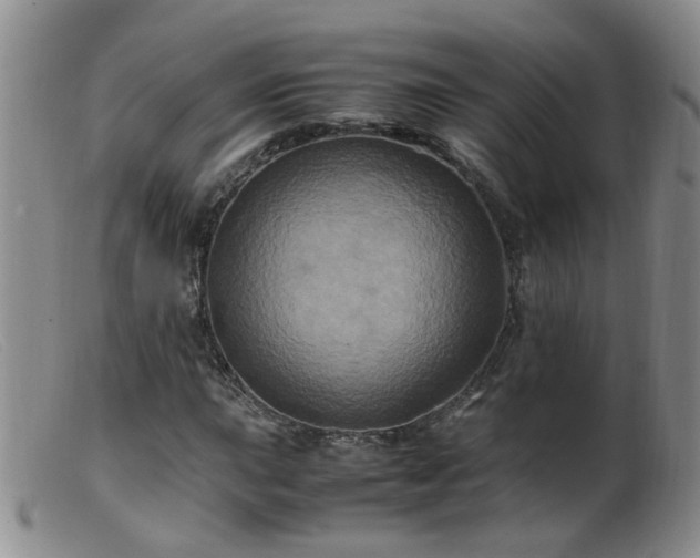 X0000099471015200805161106