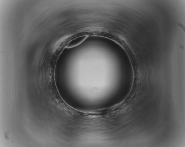 X0000099471016200805161106