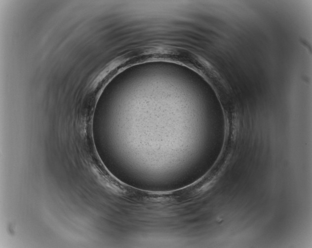X0000099471017200805161106